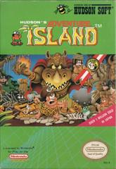 Tony's Treasures Schaumburg - Adventure Island - Video Game - NES